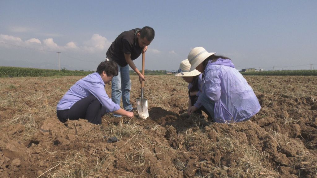 专家正在给农民讲解秋播小麦施肥技术(图片来自富平县融媒体中心)