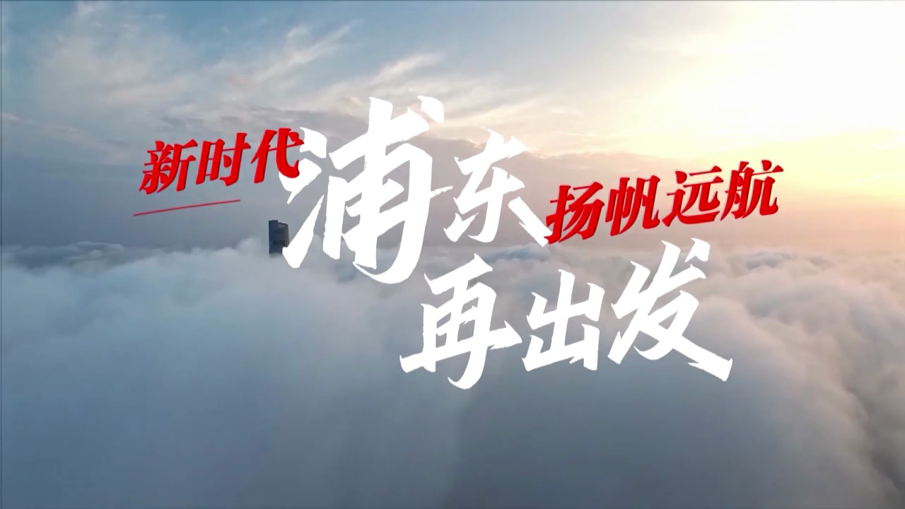 新时代 浦东扬帆远航再出发