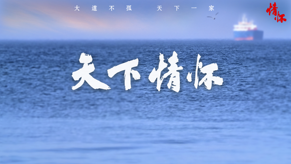 天下情怀
