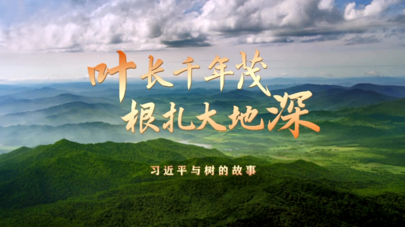 叶长千年茂 根扎大地深——习近平与树的故事