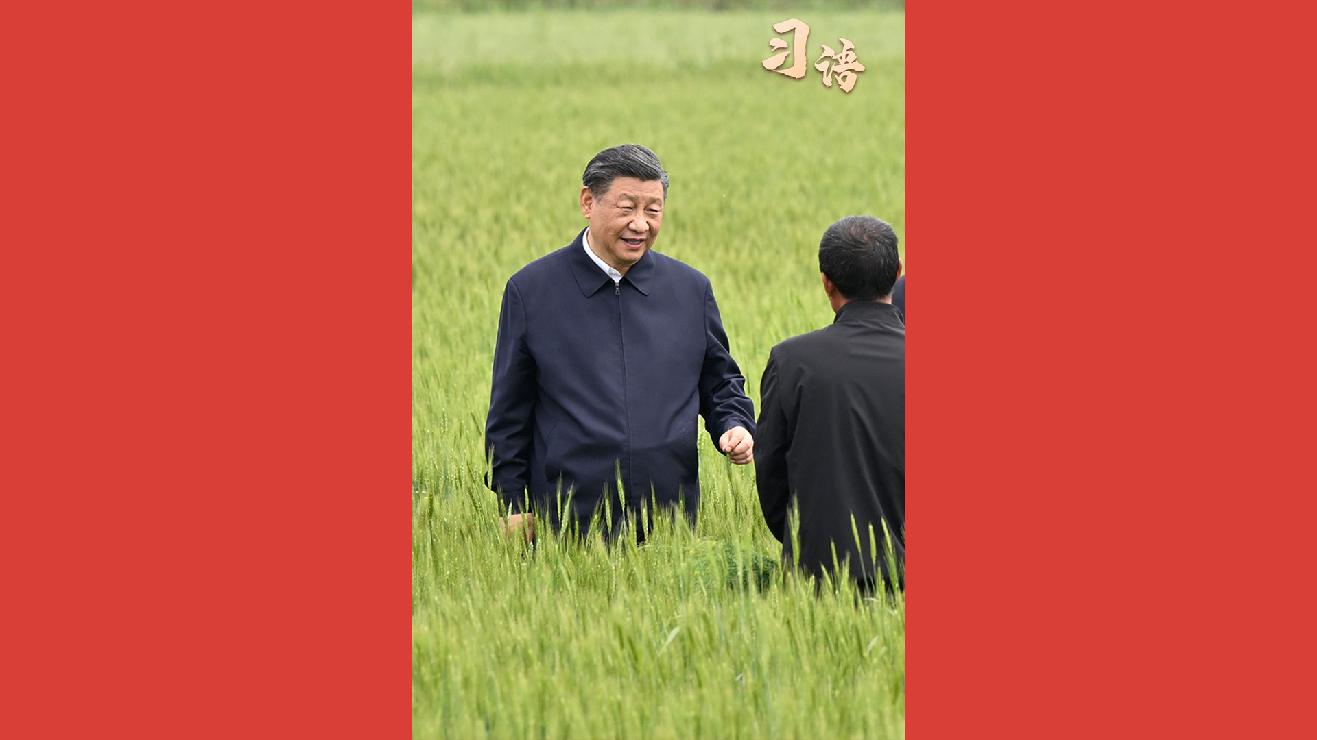 习语｜“中国的饭碗一定要端在自己的手里”