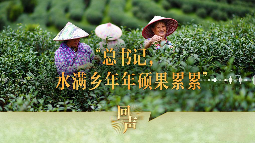 “总书记，水满乡年年硕果累累”