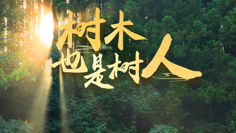 树木，也是树人