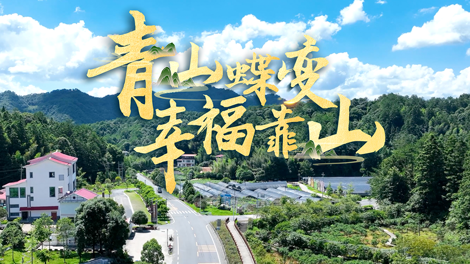 近观“两山”｜青山蝶变幸福靠山