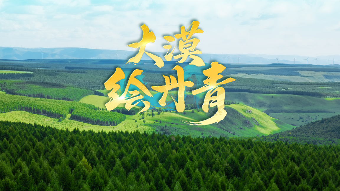 近观“两山”｜大漠绘丹青
