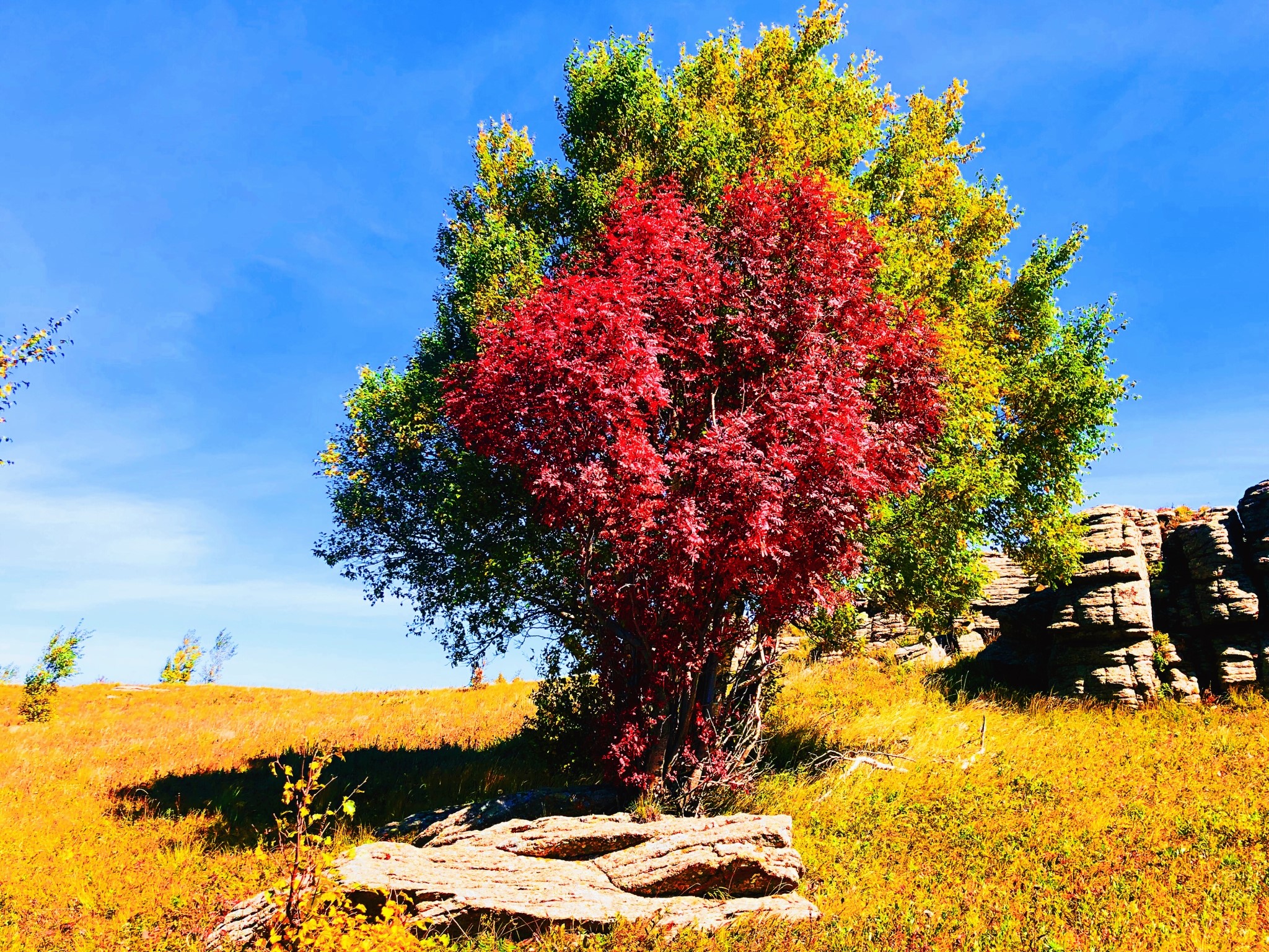 每日名胜内蒙古克什克腾石阵