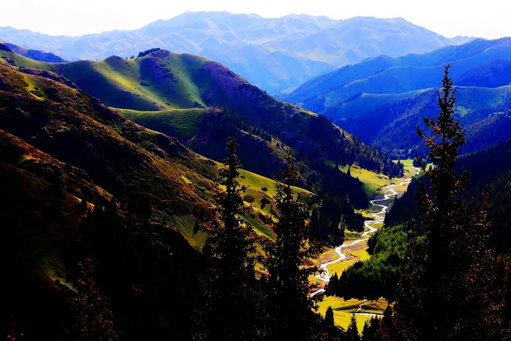 新疆托里县的巴尔鲁克山原始森林公园,是旅游观光,避暑疗养,休闲度假