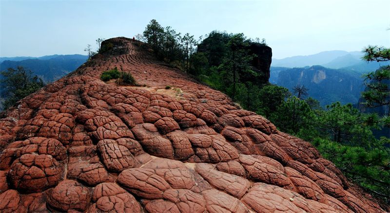 丽江老君山黎明景区 供图