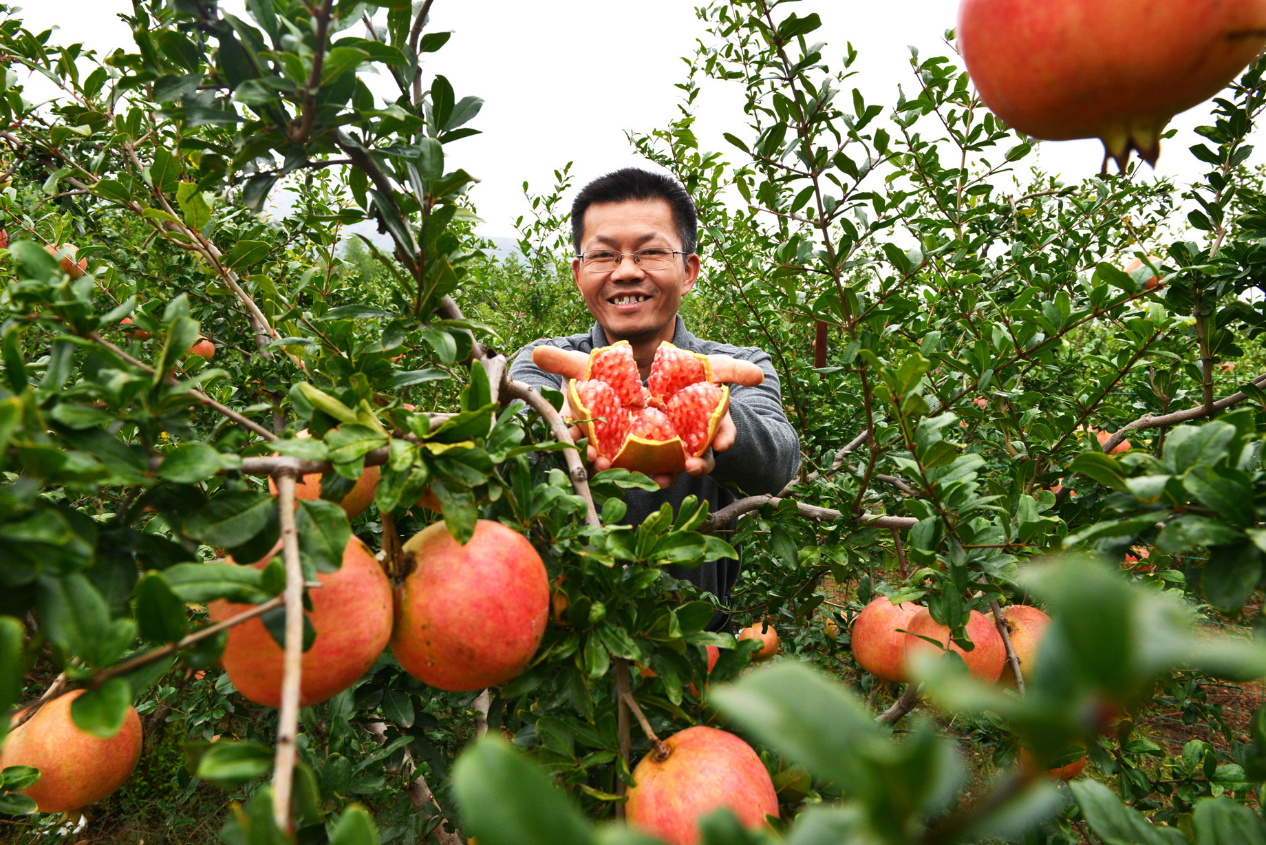 河南汝州幸福寫在臉上