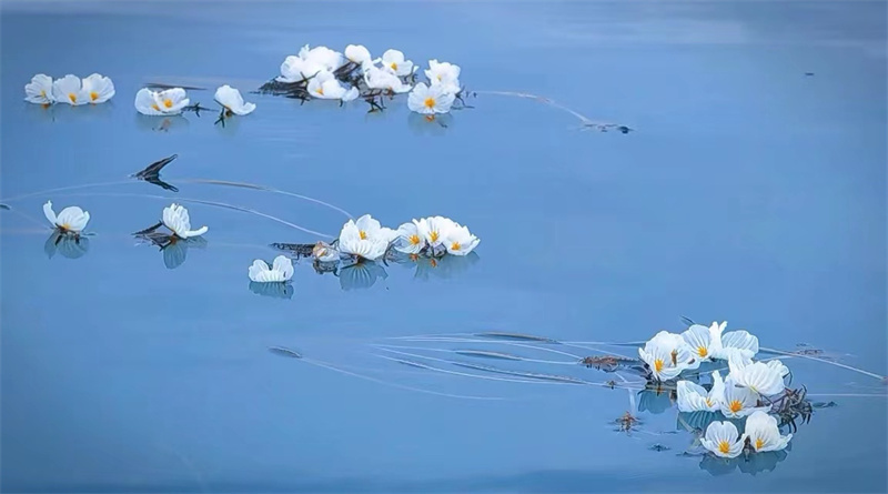 云南省文化和旅游厅