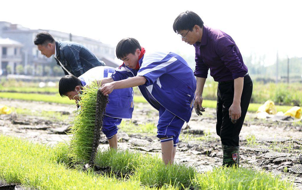 江西分宜：谷雨时节学农事