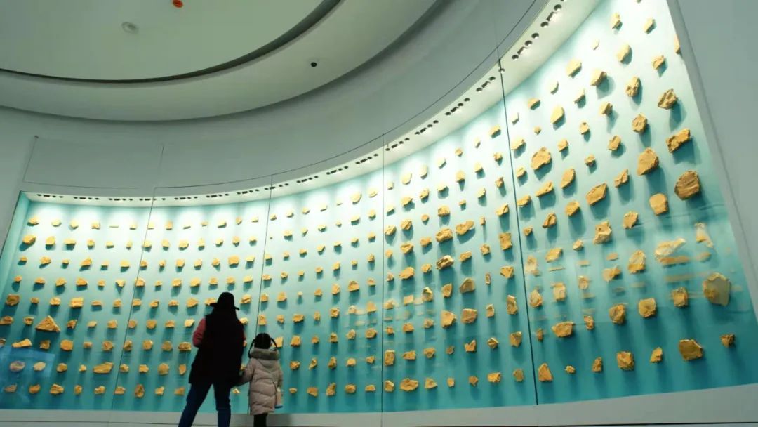 (澄江化石地博物馆化石墙)