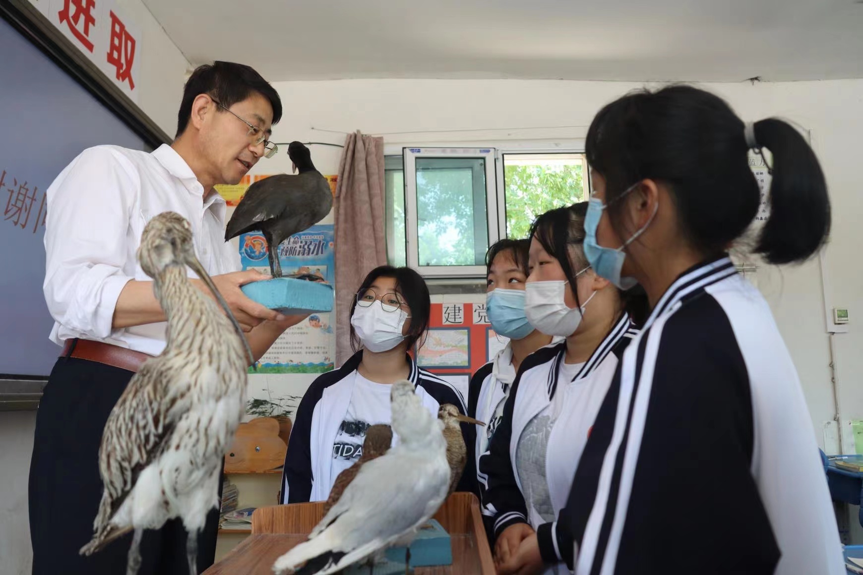河北黄骅：鸟类科普讲座进校园 守护野生动物记心间