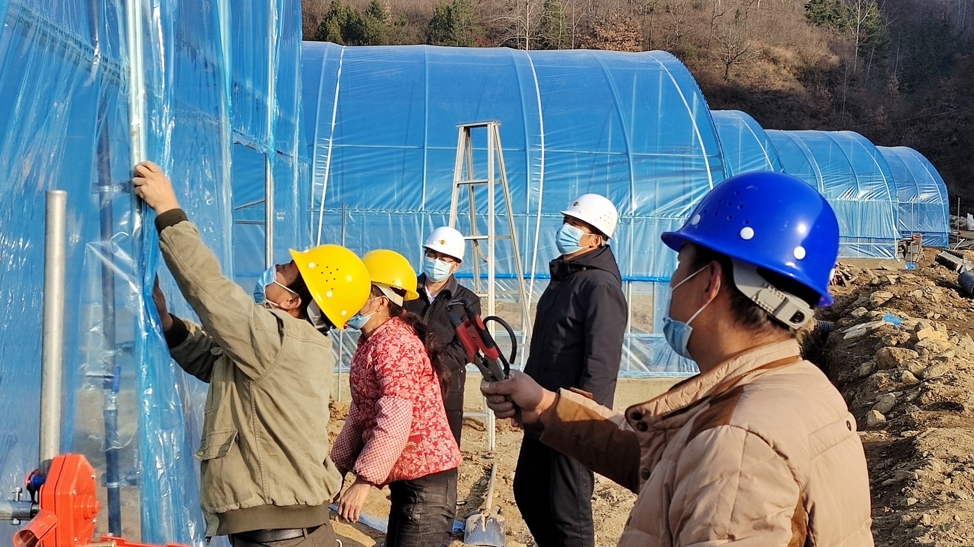 刘河村药果蔬育苗基地项目建设现场 董旦旦 摄