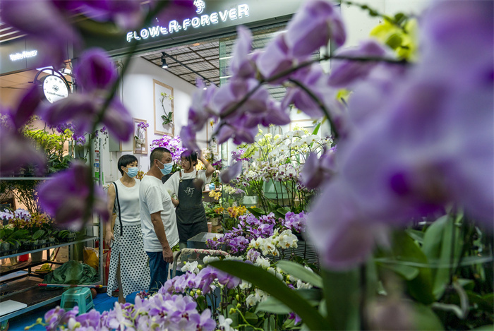 云南昆明呈贡区：斗南花市夜经济繁荣