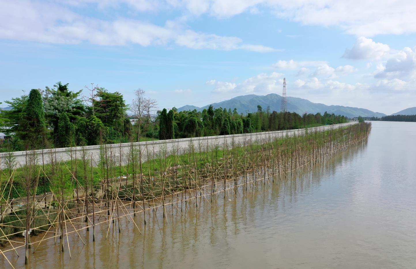 广东珠海斗门区：基本完成生态堤防建设