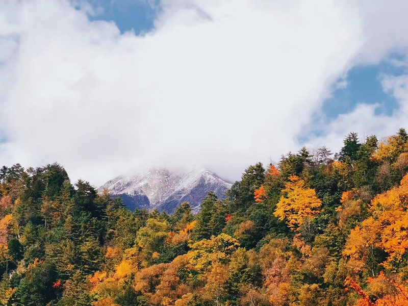 在唐家河，红叶与雪山上演着秋日里的“冰与火之歌”，晚霞同大地相连成一色，云雾伴随着秋风翻涌飘荡。