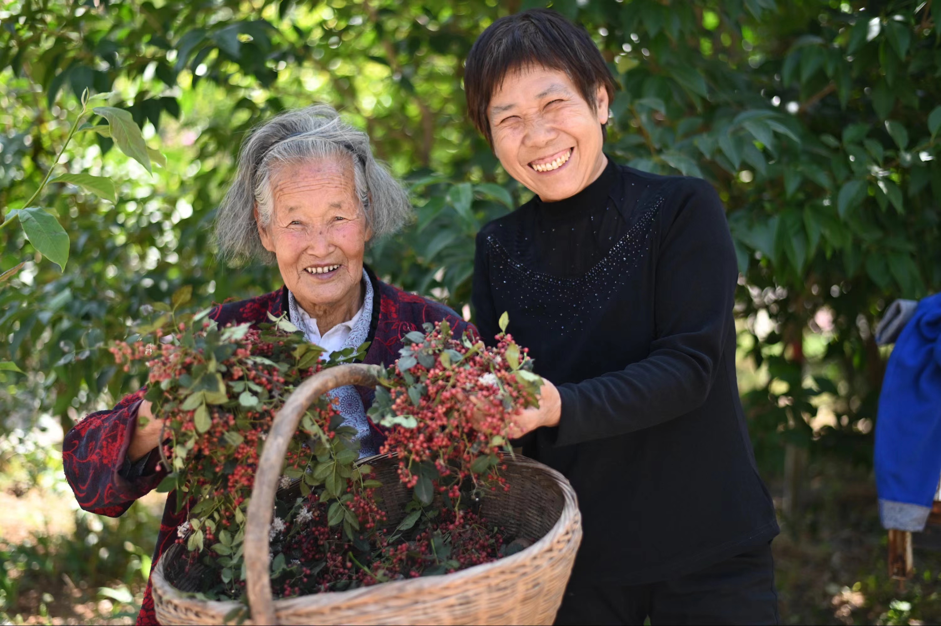 河南义马：丰收节里绽笑颜