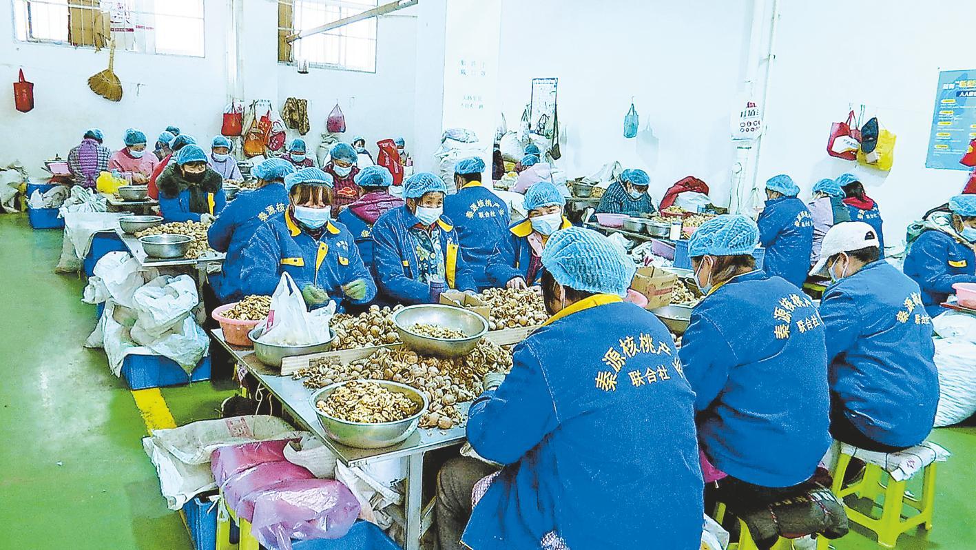 村民加工核桃 巩琳璐 摄