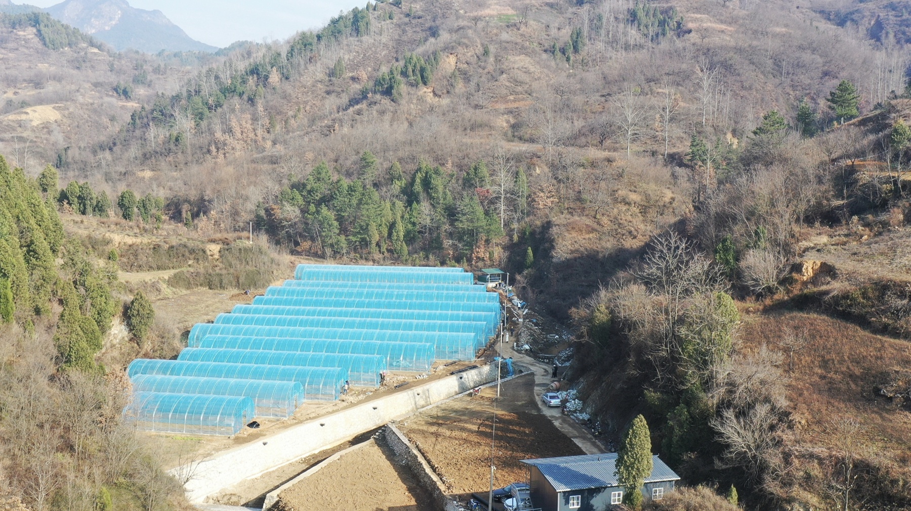 刘河村药果蔬育苗基地项目 董旦旦 摄