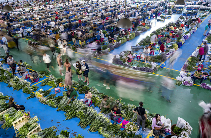 云南昆明呈贡区：斗南花市夜经济繁荣