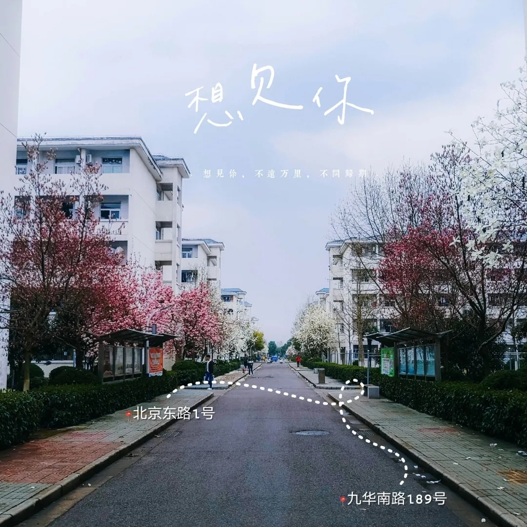 花津校区 师大一角-安徽师范大学