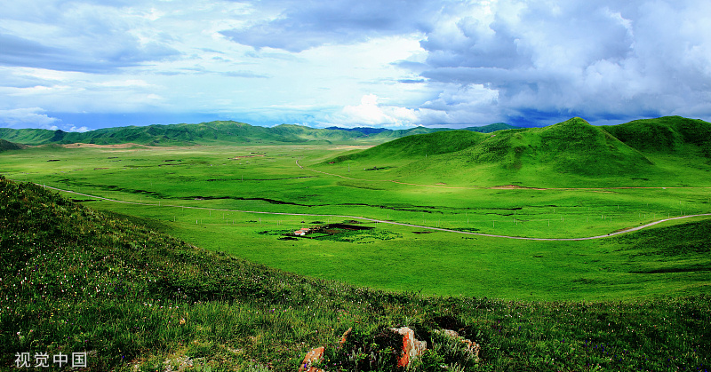 【川西高寒草原】川西高寒草原位于四川甘孜州中部，以理塘、甘孜、新龙、白玉、巴塘草原为核心，被评为“中国最美的六大草原”之一，有着别具一格的高山草甸景观。图/视觉中国