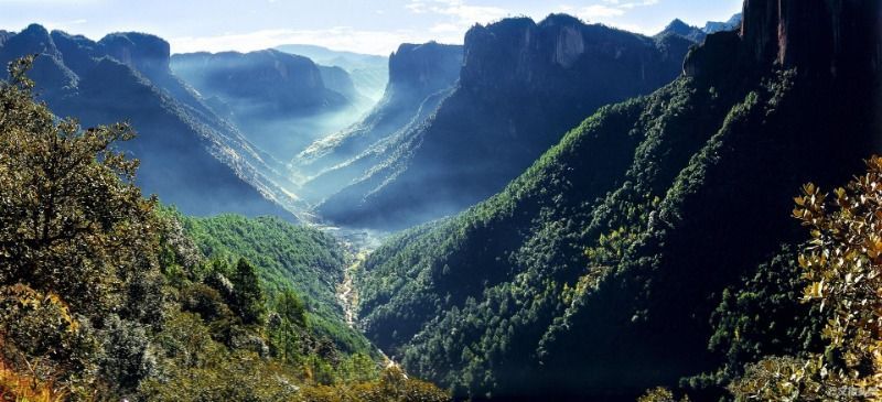 丽江老君山黎明景区 供图