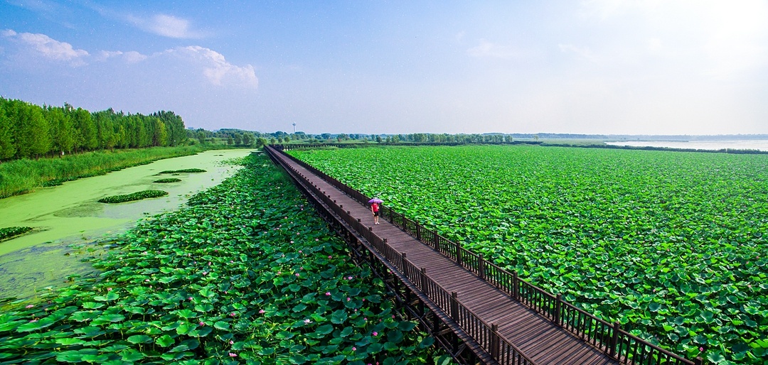 长治漳泽水库湿地公园图片