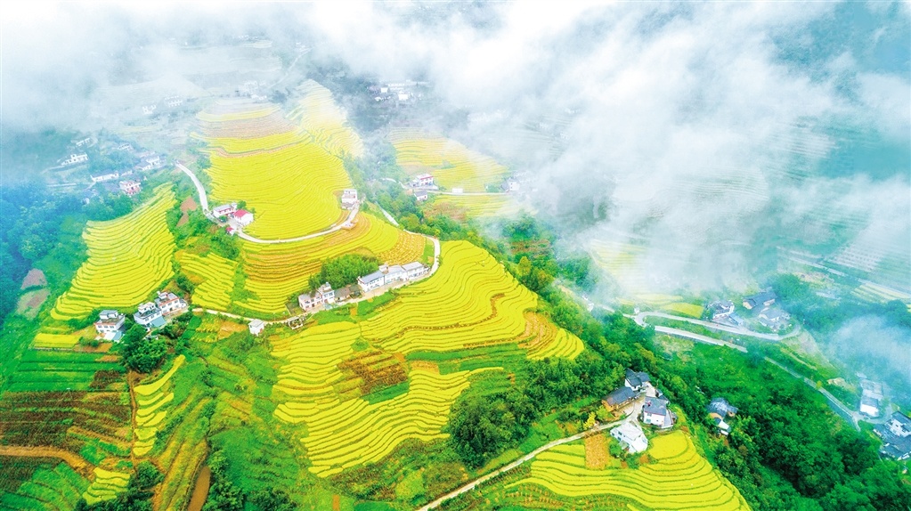 南宫山镇桂花村古梯田。