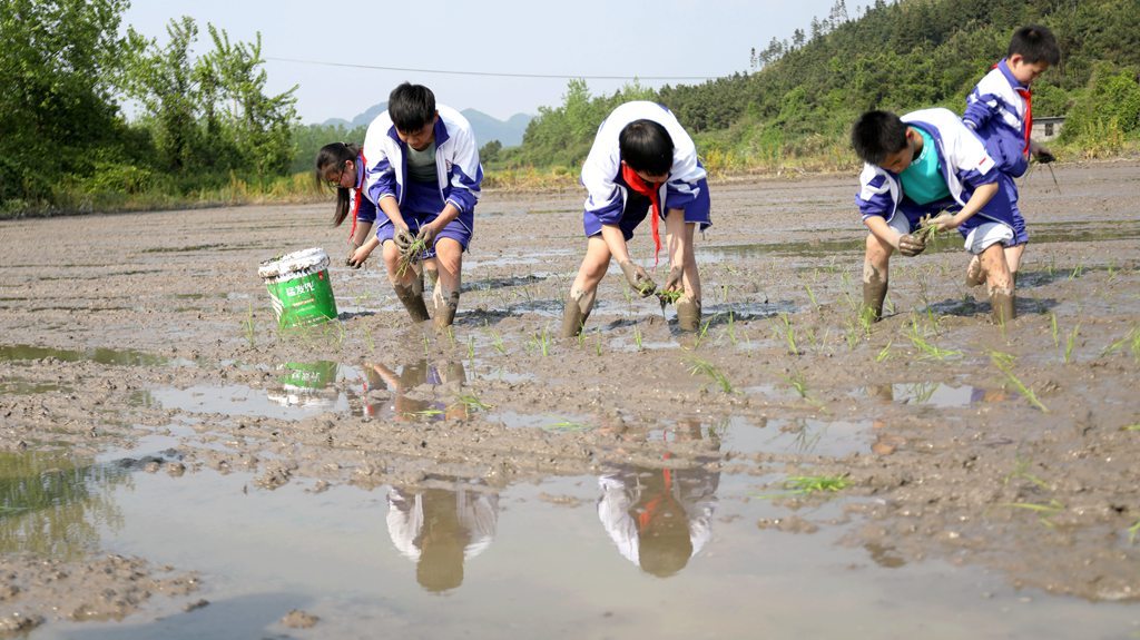 江西分宜：谷雨时节学农事