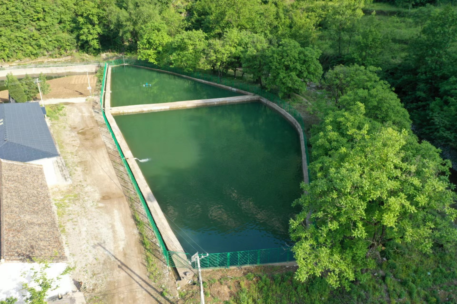 文化坪村冷水鱼养殖基地 李潇 摄