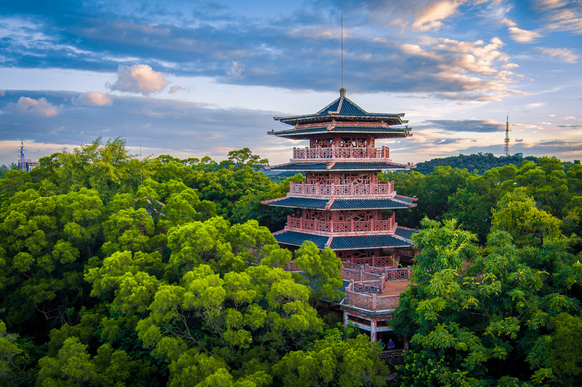 广东佛山顺德区：春到大良绿意浓