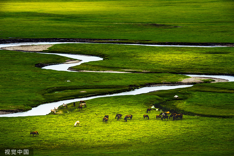 【锡林郭勒草原】锡林郭勒草原位于内蒙古自治区东中部锡林郭勒盟境内，一望无际、空旷幽深，这里不仅留传着许多有关成吉思汗的传说，还有蓝天白云、绿草如茵、牧人策马的自然和谐。图/视觉中国
