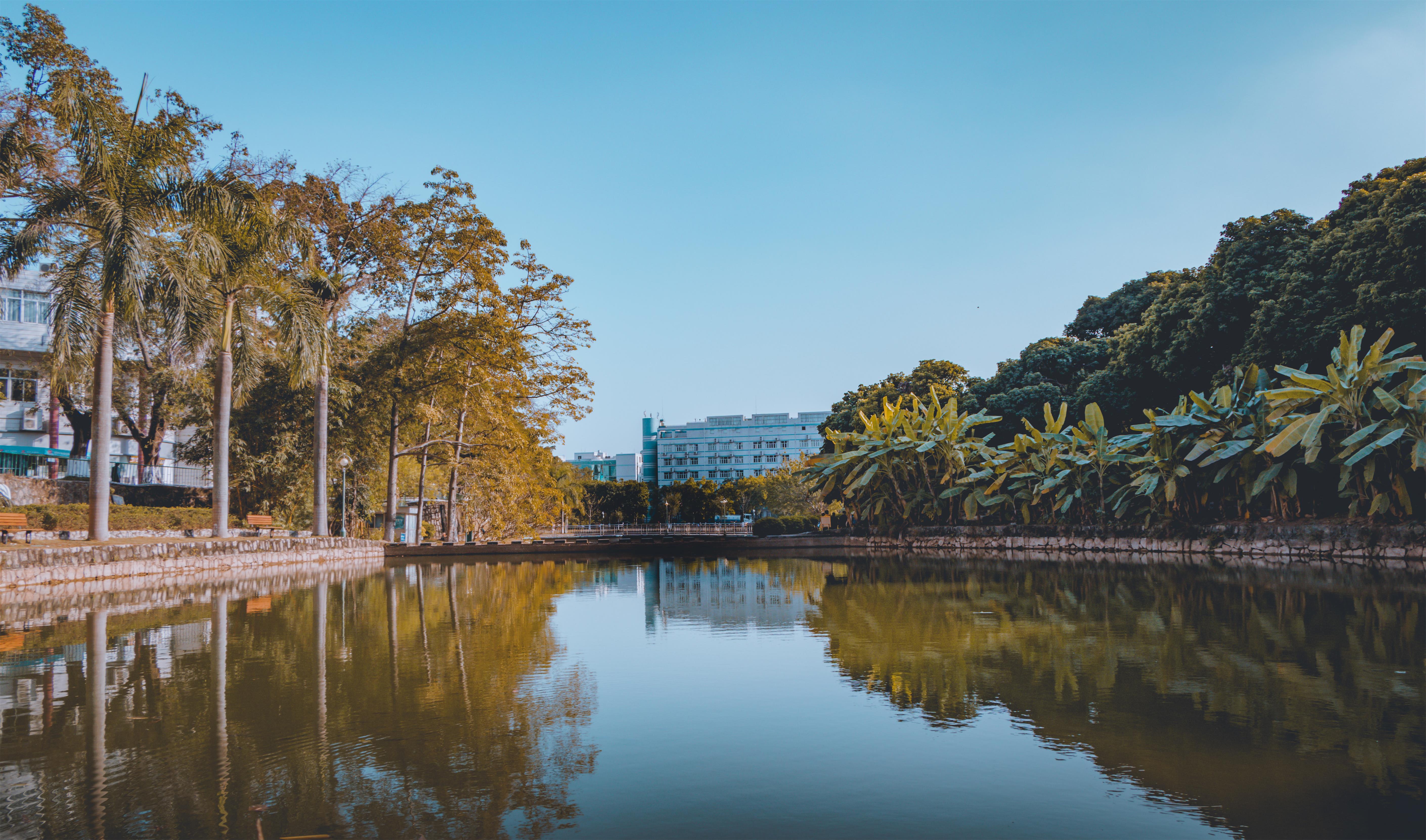 【校园风采】深圳职业技术学院:秋意浓 秋色美