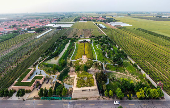 山东相册|淄博临淄区凤凰镇:家乡风光美如画