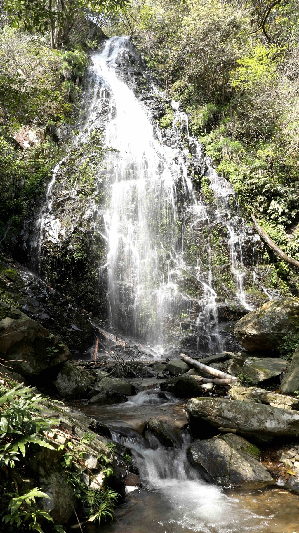 分為舞龍湖景區鐘山峽景區鈐陽湖景區大崗山景區九