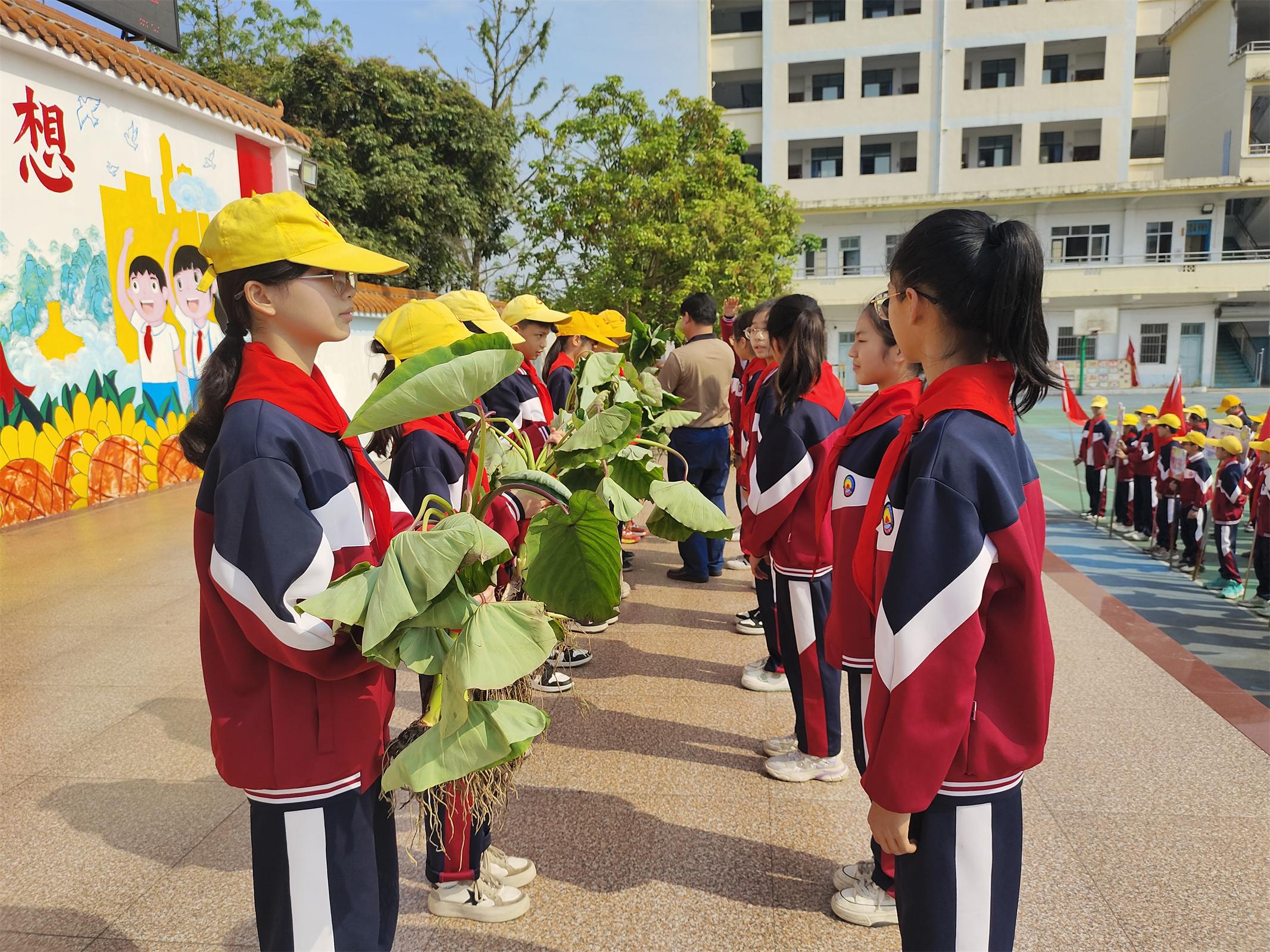 Rice校外 公寓 一亩三分地 - bojiej8