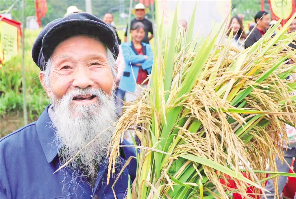 南宫山镇桂花村打谷比赛现场，开镰的百岁老人。