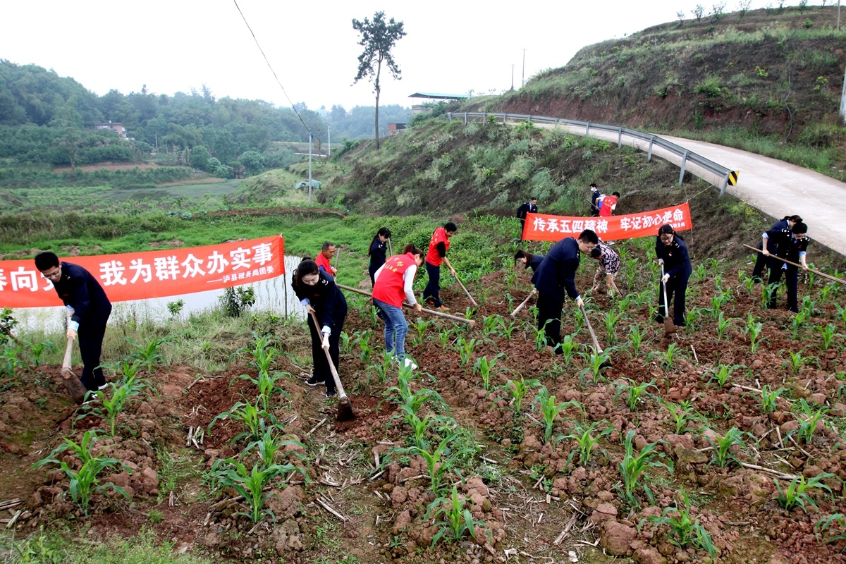 近日，泸州市泸县税务局团支部组织青年干部深入帮扶联系村——泸县太伏镇沙河村，与沙河村青年志愿者们开展了以“青春向党·我为群众办实事”为主题的系列活动。