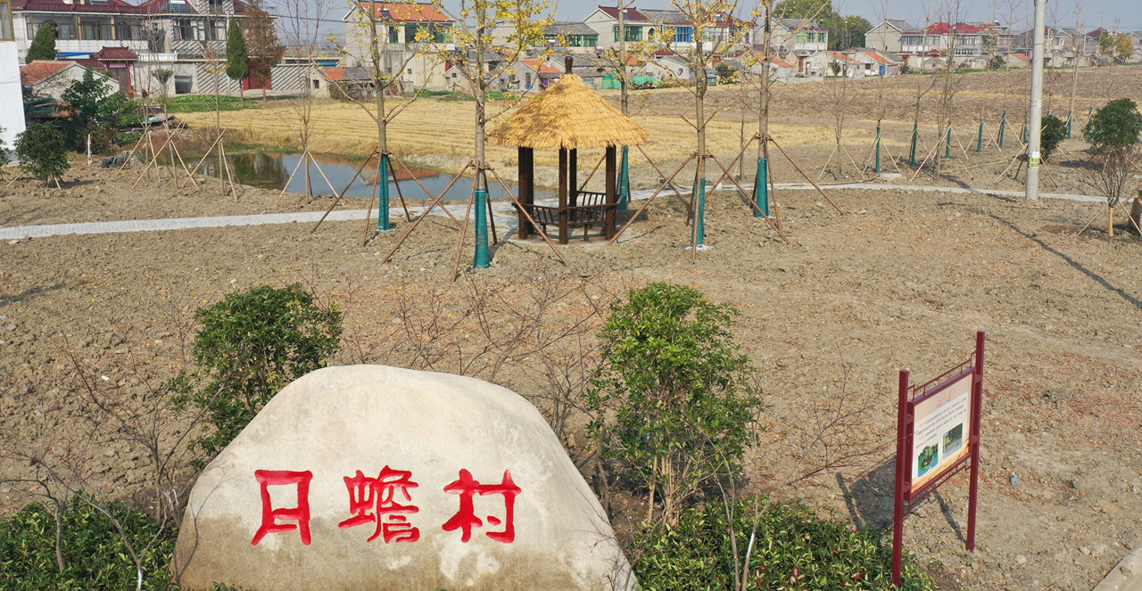 我为群众办实事丨宝应望直港镇：“边角地”变身游园休闲健身增添好去处