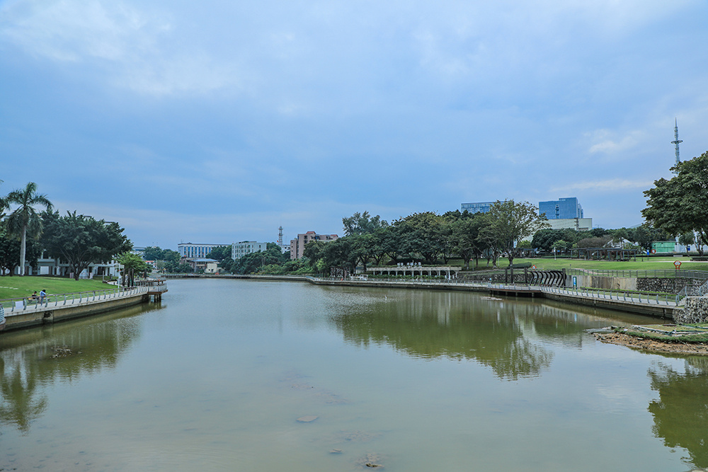 大美深圳深圳翠湖公园人行明镜中鸟度屏风里