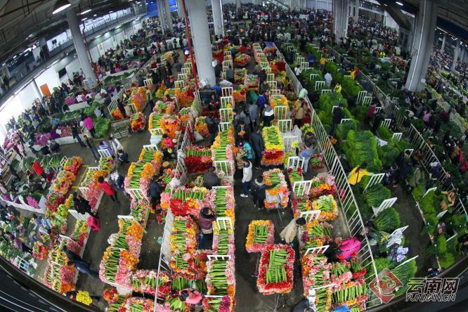 云南省文化和旅游厅