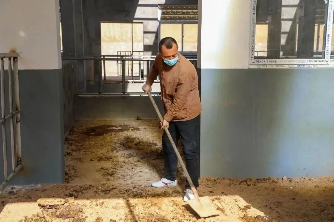 磨义沟村村民呼雄瑞正在打扫圈舍