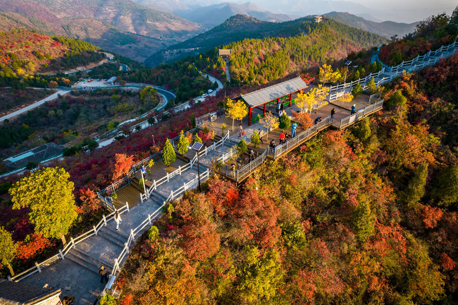 河南林州：层林尽染柏尖山