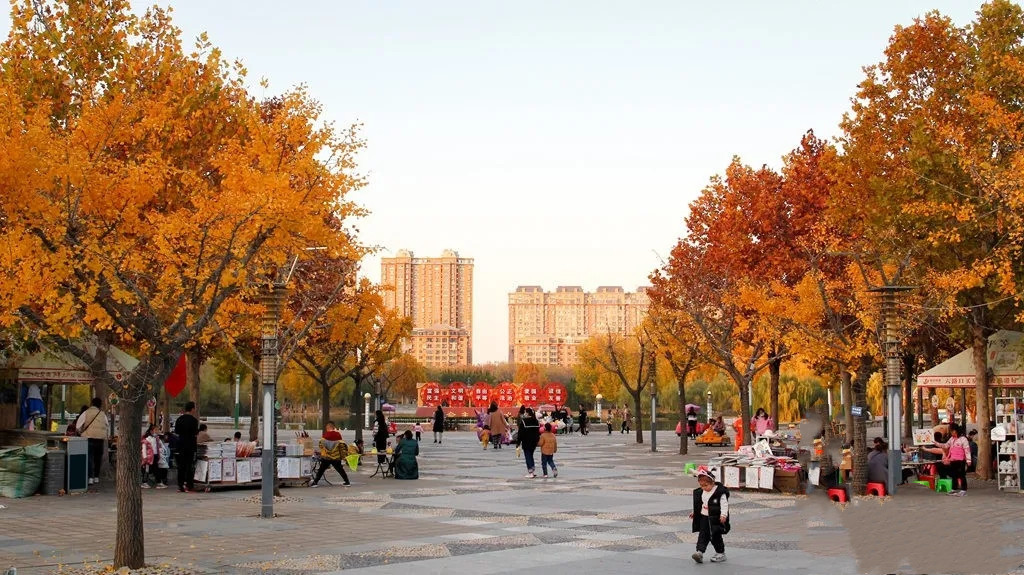 走进河南省安阳市林州市人民公园,人们被金色的美景深深吸引.