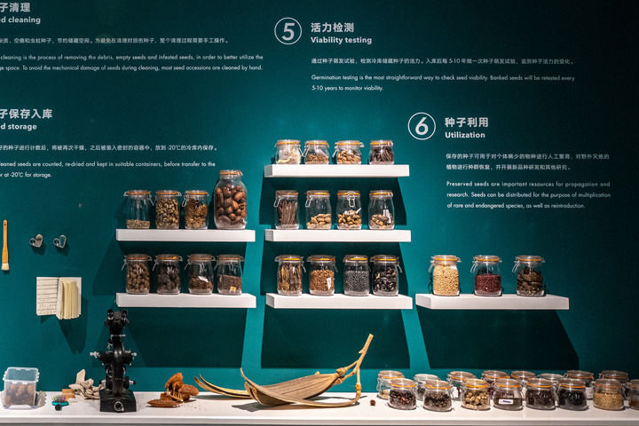 云南昆明盘龙区：走进种子博物馆