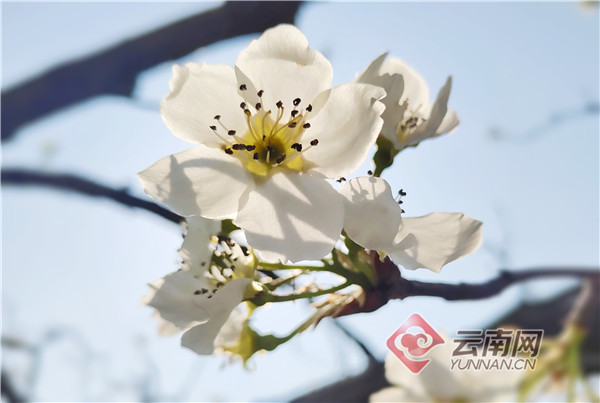 云南省文化和旅游厅