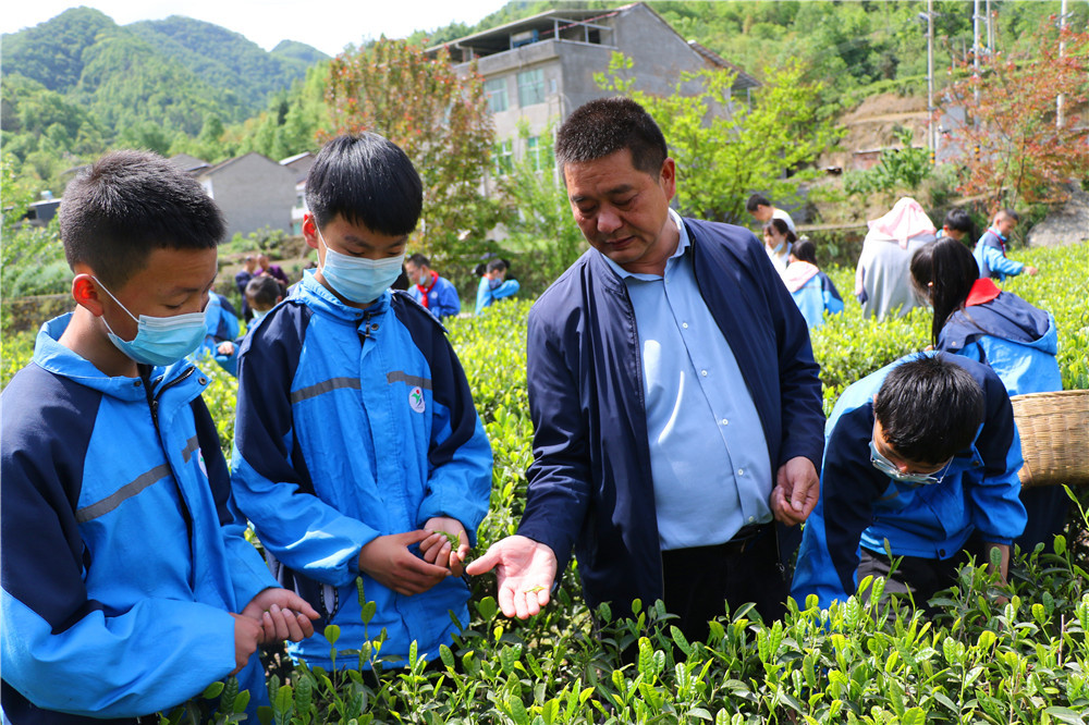 单林江（左三）为研学的学生讲授摘茶技巧