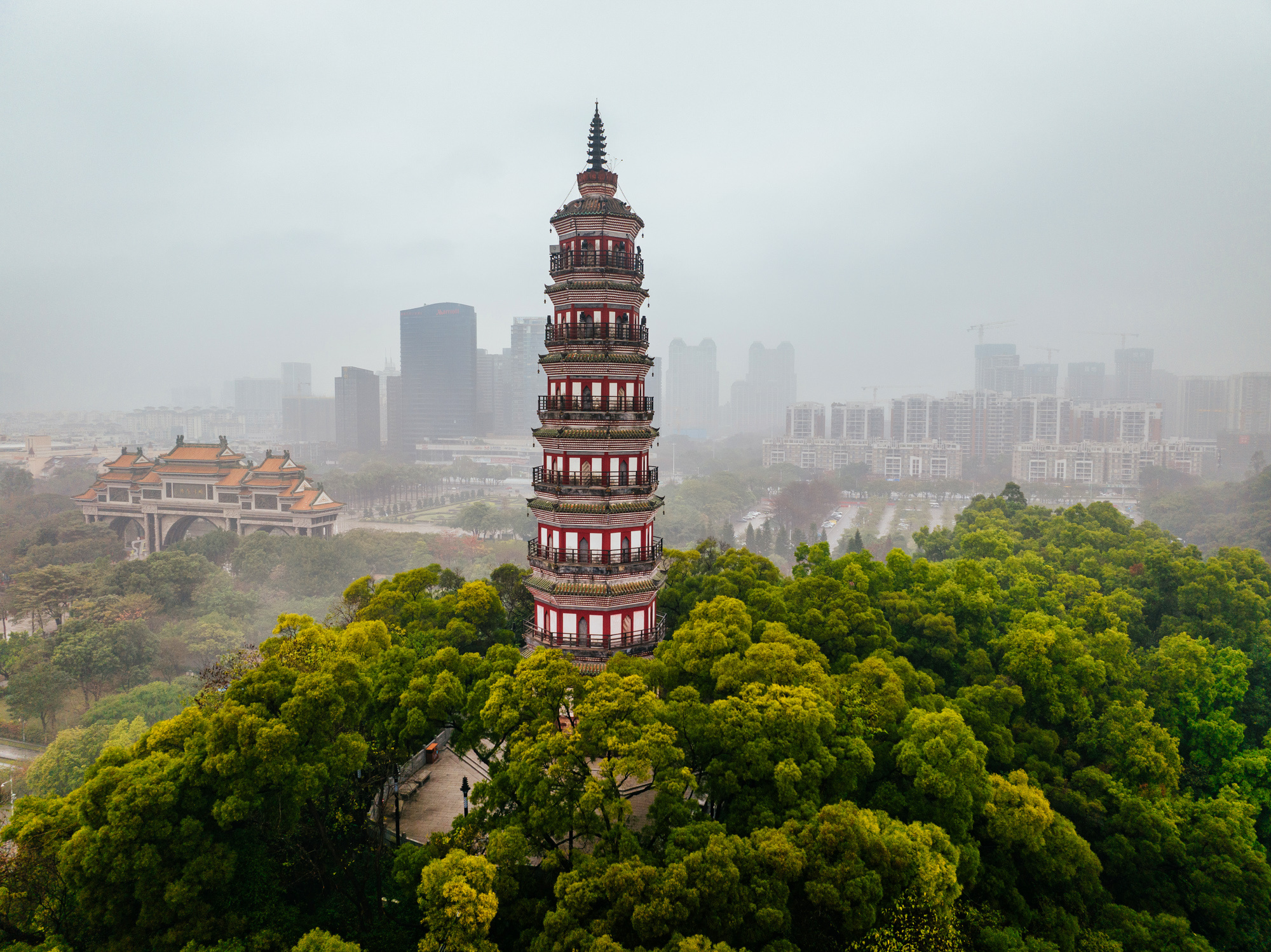 广东佛山顺德区：春到大良绿意浓